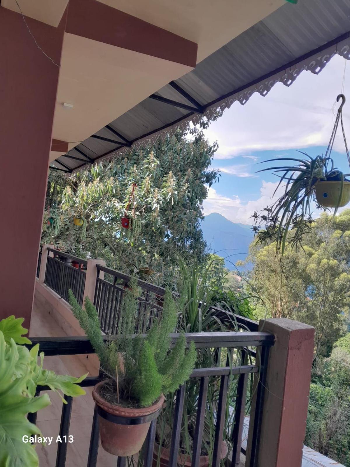 Seven Hills Homestay كاليمبونج المظهر الخارجي الصورة